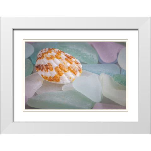 USA- Washington State- Seabeck. Seashell and beach glass. White Modern Wood Framed Art Print with Double Matting by Jaynes Gallery