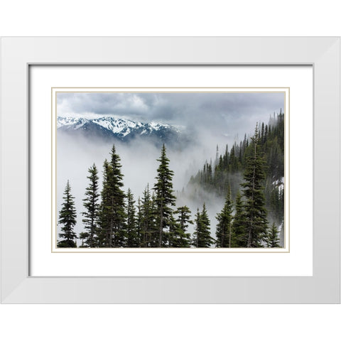 USA-Washington State-Olympic National Park White Modern Wood Framed Art Print with Double Matting by Sederquist, Betty
