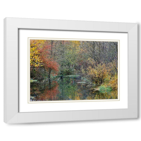USA- Washington State- Easton and Washington Cascades water way off of Yakima River in Fall Color White Modern Wood Framed Art Print with Double Matting by Gulin, Darrell