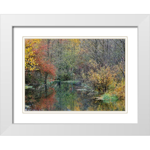 USA- Washington State- Easton and Washington Cascades water way off of Yakima River in Fall Color White Modern Wood Framed Art Print with Double Matting by Gulin, Darrell