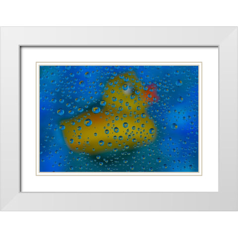 USA- Washington State- Sammamish. Yellow rubber duck in reflections in dew drops White Modern Wood Framed Art Print with Double Matting by Gulin, Darrell