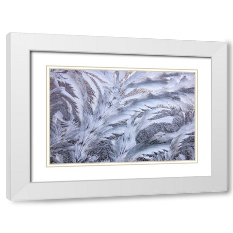 USA- Washington State- Sammamish. Frost on auto window White Modern Wood Framed Art Print with Double Matting by Gulin, Darrell