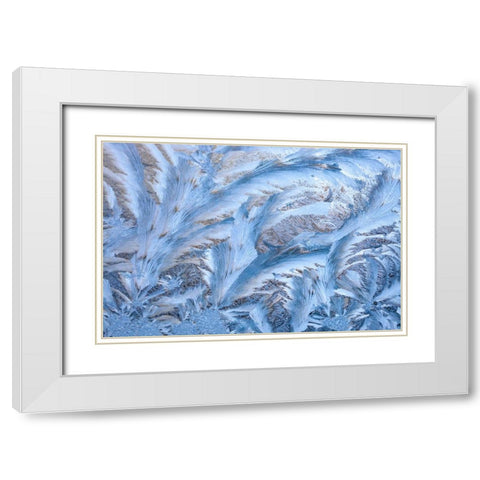 USA- Washington State- Sammamish. Frost on auto window White Modern Wood Framed Art Print with Double Matting by Gulin, Darrell