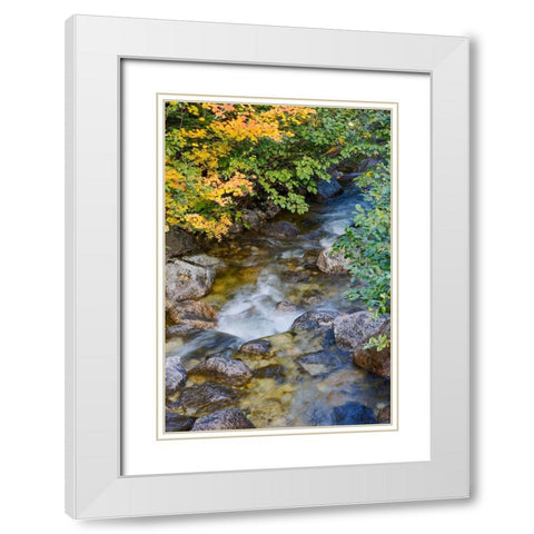 USA- Washington State. Cascade mountains near Stevens Pass White Modern Wood Framed Art Print with Double Matting by Gulin, Darrell