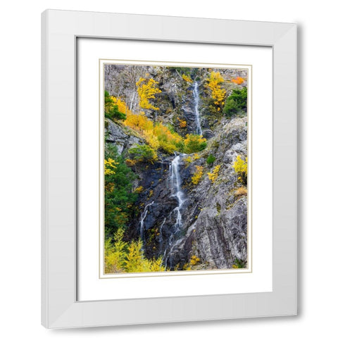USA- Washington State- east of Newhalem highway 20 waterfall with fall colors White Modern Wood Framed Art Print with Double Matting by Gulin, Darrell