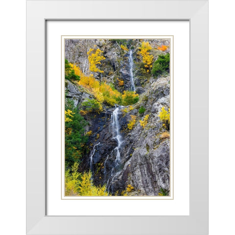 USA- Washington State- east of Newhalem highway 20 waterfall with fall colors White Modern Wood Framed Art Print with Double Matting by Gulin, Darrell