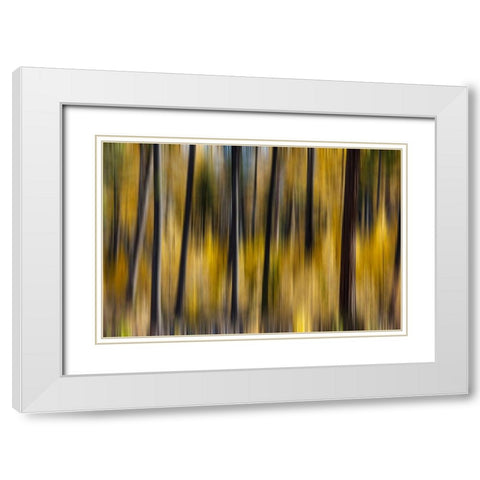 USA- Washington State. East of Twisp on Highway 20 White Modern Wood Framed Art Print with Double Matting by Gulin, Darrell