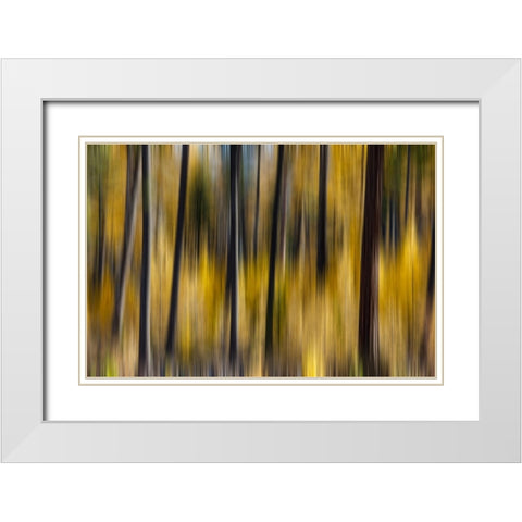 USA- Washington State. East of Twisp on Highway 20 White Modern Wood Framed Art Print with Double Matting by Gulin, Darrell