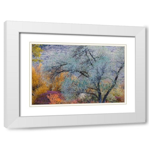 USA- Washington State. Fall color around Pearrygin Lake State Park near Winthrop. White Modern Wood Framed Art Print with Double Matting by Gulin, Darrell