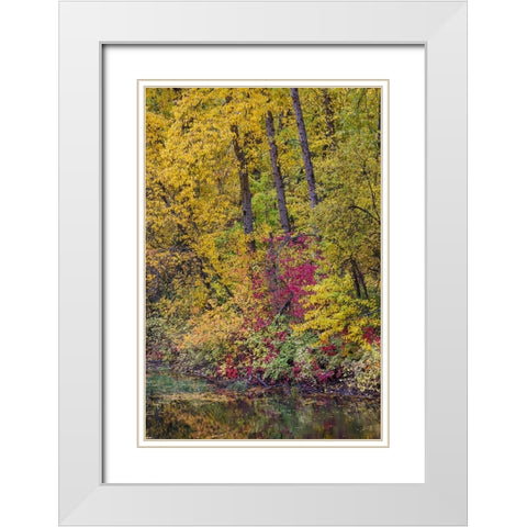 USA- Washington State- small pond near Easton surrounded by fall colored trees White Modern Wood Framed Art Print with Double Matting by Gulin, Darrell