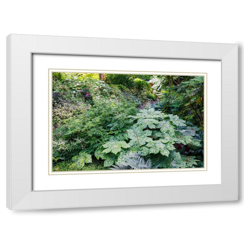 USA- Washington State. Bellevue Botanical garden and shade garden White Modern Wood Framed Art Print with Double Matting by Gulin, Darrell