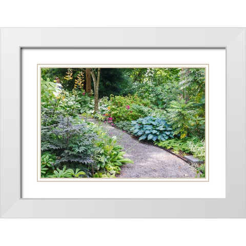 USA- Washington State. Bellevue Botanical garden and shade garden White Modern Wood Framed Art Print with Double Matting by Gulin, Darrell