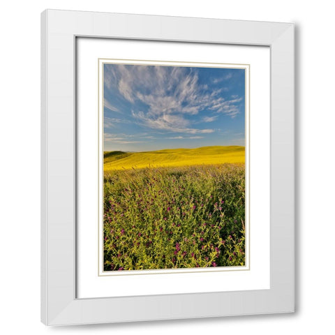 USA- Washington State- Palouse White Modern Wood Framed Art Print with Double Matting by Gulin, Darrell
