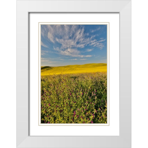 USA- Washington State- Palouse White Modern Wood Framed Art Print with Double Matting by Gulin, Darrell