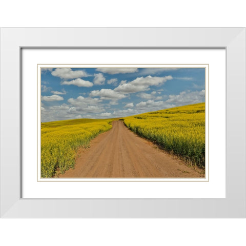 USA- Washington State- Palouse. Springtime landscape dirt roadway and Canola fields White Modern Wood Framed Art Print with Double Matting by Gulin, Darrell