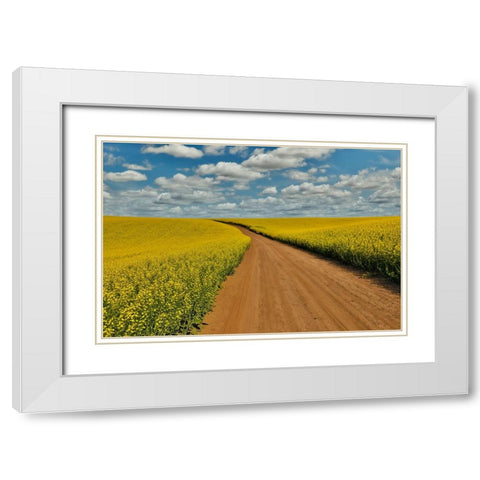 USA- Washington State- Palouse. Springtime landscape dirt roadway and Canola fields White Modern Wood Framed Art Print with Double Matting by Gulin, Darrell