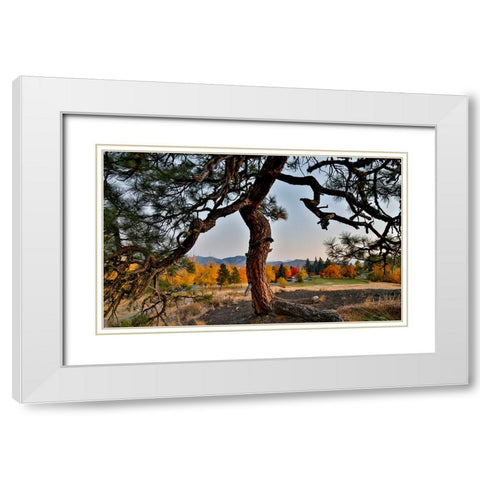 USA- Washington State- Winthrop- Sun Mountain and lone pine tree White Modern Wood Framed Art Print with Double Matting by Gulin, Darrell