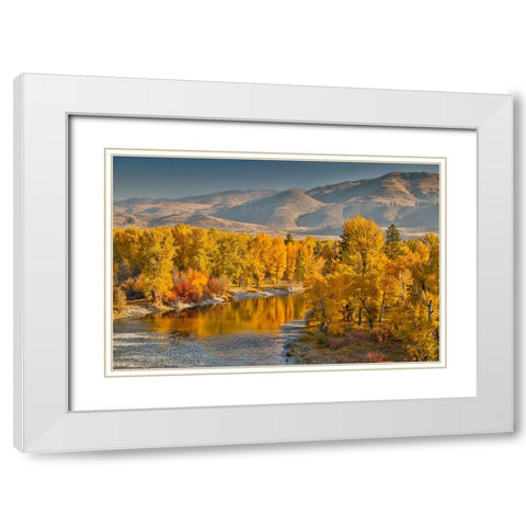 USA- Washington State- Methow Valley and river edged in Fall colored trees. White Modern Wood Framed Art Print with Double Matting by Gulin, Darrell
