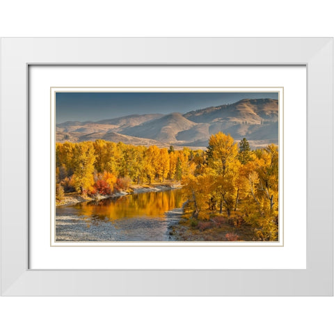 USA- Washington State- Methow Valley and river edged in Fall colored trees. White Modern Wood Framed Art Print with Double Matting by Gulin, Darrell
