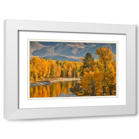 USA- Washington State- Methow Valley and river edged in Fall colored trees. White Modern Wood Framed Art Print with Double Matting by Gulin, Darrell