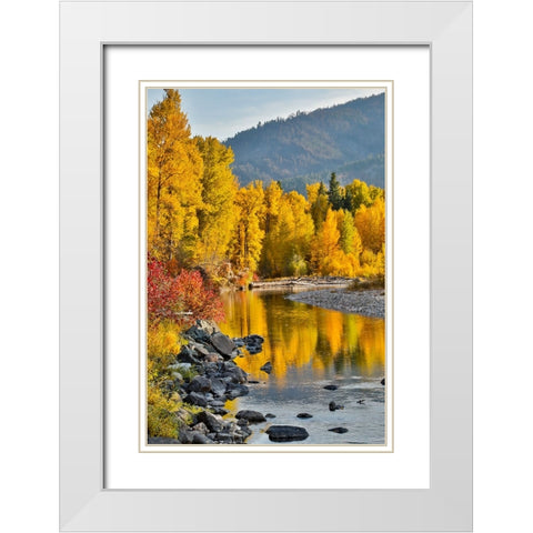 USA- Washington State- Methow Valley and river edged in Fall colored trees. White Modern Wood Framed Art Print with Double Matting by Gulin, Darrell