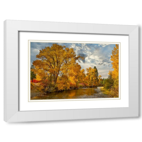 USA- Washington State. Cottonwoods and wild dogwoods trees in Autumn Color along the Yakima River White Modern Wood Framed Art Print with Double Matting by Gulin, Darrell