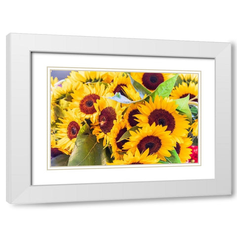 Washington State-Seattle-Pike Place Market Sunflowers for sale White Modern Wood Framed Art Print with Double Matting by Wilson, Emily