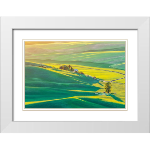 Steptoe Butte State Park-Washington State-USA-Sunset view of wheat fields in the rolling Palouse hi White Modern Wood Framed Art Print with Double Matting by Wilson, Emily M.