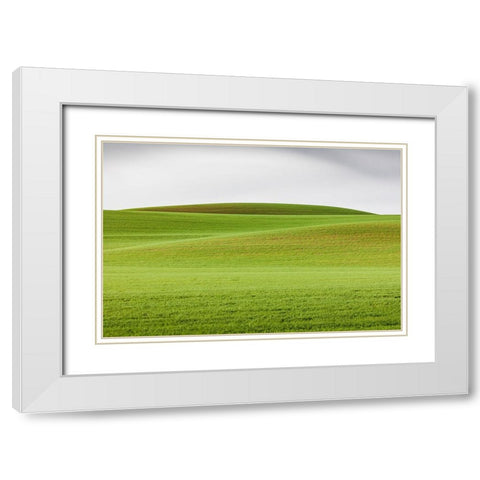 Steptoe-Washington State-USA-Wheat fields in the rolling Palouse hills of Washington White Modern Wood Framed Art Print with Double Matting by Wilson, Emily M.