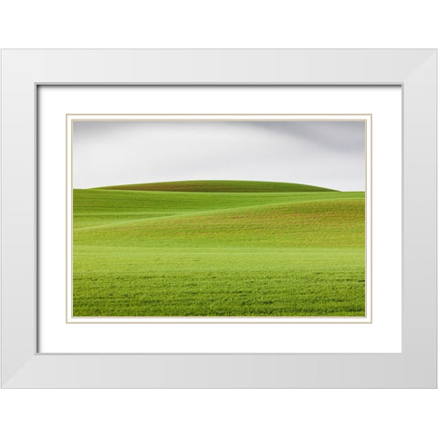 Steptoe-Washington State-USA-Wheat fields in the rolling Palouse hills of Washington White Modern Wood Framed Art Print with Double Matting by Wilson, Emily M.