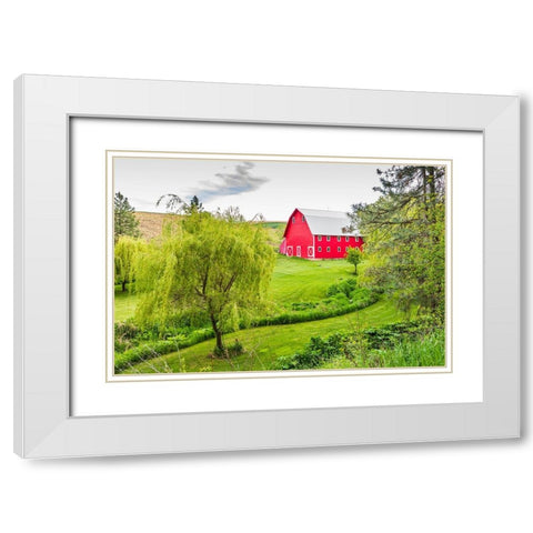 Colfax-Washington State-USA-A red barn on a farm in the Palouse hills White Modern Wood Framed Art Print with Double Matting by Wilson, Emily M.