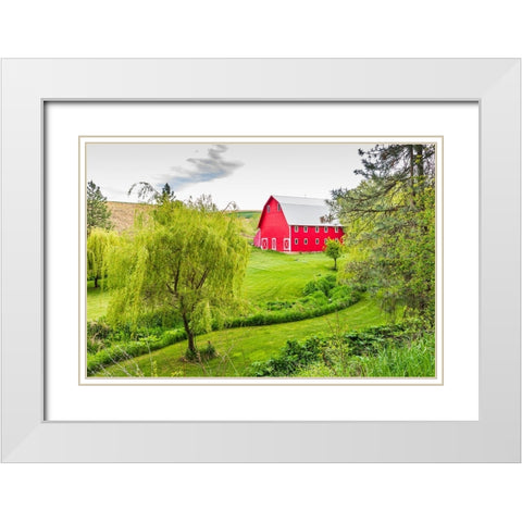 Colfax-Washington State-USA-A red barn on a farm in the Palouse hills White Modern Wood Framed Art Print with Double Matting by Wilson, Emily M.