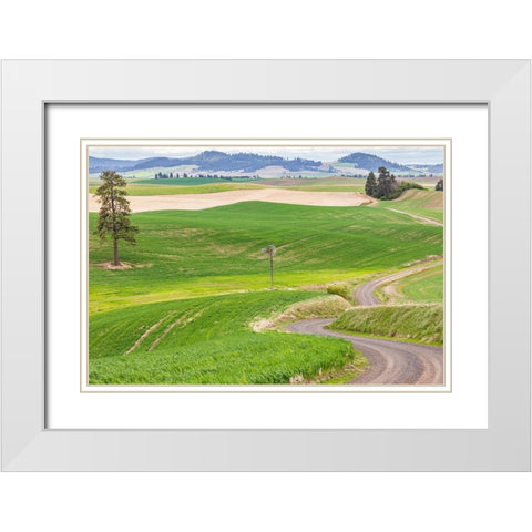 Palouse-Washington State-USA-Dirt road winding through wheat fields in the Palouse hills White Modern Wood Framed Art Print with Double Matting by Wilson, Emily M.