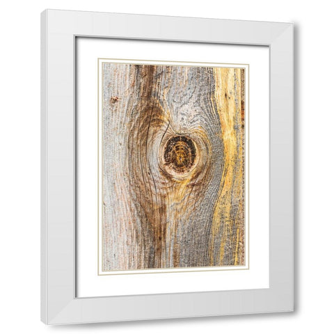 Latah-Washington State-USA-Knot in weathered wood on an old barn White Modern Wood Framed Art Print with Double Matting by Wilson, Emily M.