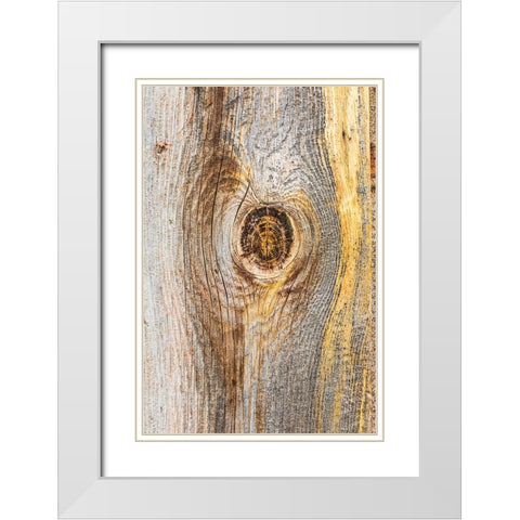 Latah-Washington State-USA-Knot in weathered wood on an old barn White Modern Wood Framed Art Print with Double Matting by Wilson, Emily M.