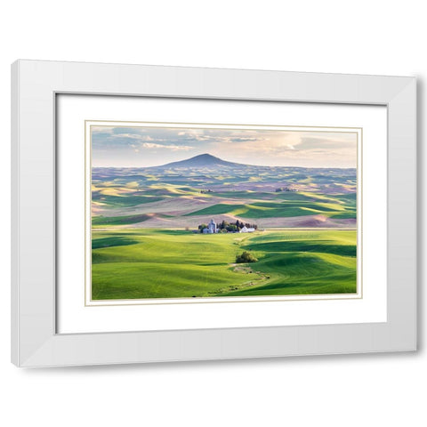 Farmington-Washington State-USA-Wheat farms in front of Steptoe Butte in the Palouse hills White Modern Wood Framed Art Print with Double Matting by Wilson, Emily M.