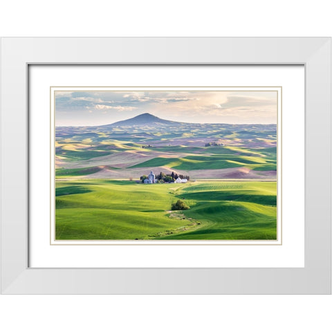 Farmington-Washington State-USA-Wheat farms in front of Steptoe Butte in the Palouse hills White Modern Wood Framed Art Print with Double Matting by Wilson, Emily M.