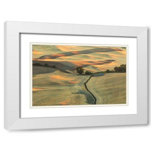 USA- Washington State- Whitman County- Palouse. Rolling fields and hills near Steptoe Butte. White Modern Wood Framed Art Print with Double Matting by Wilson, Emily M.