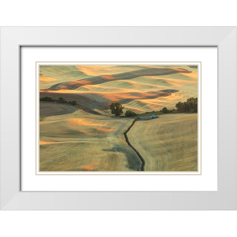 USA- Washington State- Whitman County- Palouse. Rolling fields and hills near Steptoe Butte. White Modern Wood Framed Art Print with Double Matting by Wilson, Emily M.