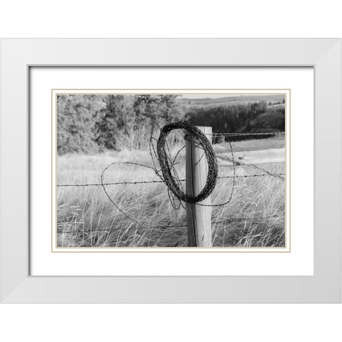 USA- Washington State- Whitman County- Palouse. Barbed wire fence Posts. White Modern Wood Framed Art Print with Double Matting by Wilson, Emily M.
