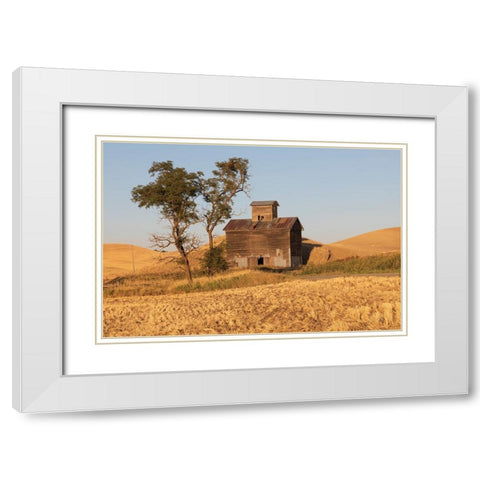 USA- Washington State- Whitman County- Palouse. Colfax. Old grain silo and barn along Filan Road. White Modern Wood Framed Art Print with Double Matting by Wilson, Emily M.