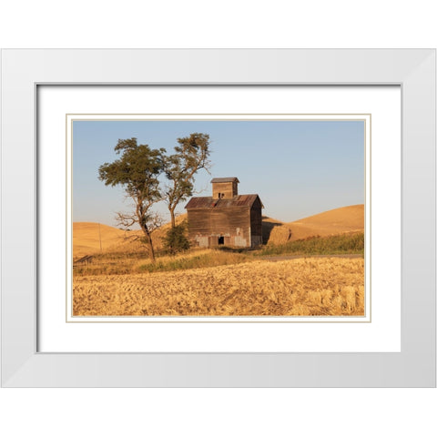 USA- Washington State- Whitman County- Palouse. Colfax. Old grain silo and barn along Filan Road. White Modern Wood Framed Art Print with Double Matting by Wilson, Emily M.