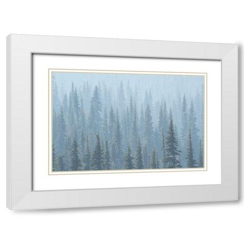 USA Mt Rainier National Park Smoke from Washington State fires drifts through conifers White Modern Wood Framed Art Print with Double Matting by Luhm, Gary