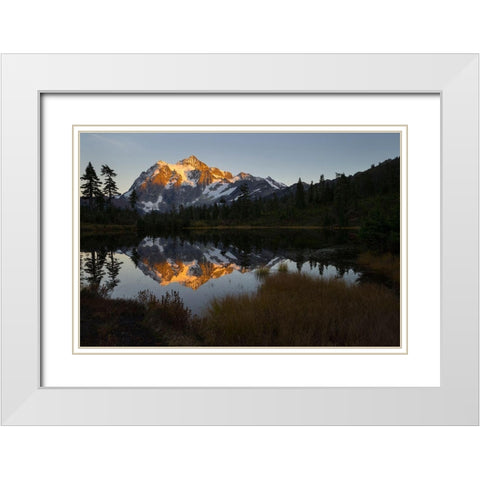 Glaciated Mt Shuksan reflected in Picture Lake-Mt Baker-Snoqualmie National Forest  White Modern Wood Framed Art Print with Double Matting by Luhm, Gary