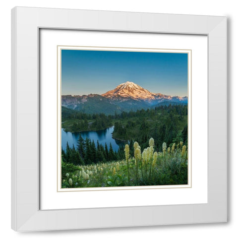 Washington State Beargrass wildflowers from the flank of Tolmie Peak at Eunice Lake White Modern Wood Framed Art Print with Double Matting by Luhm, Gary
