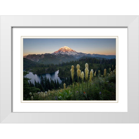 Washington State Beargrass wildflowers from the flank of Tolmie Peak at Eunice Lake White Modern Wood Framed Art Print with Double Matting by Luhm, Gary