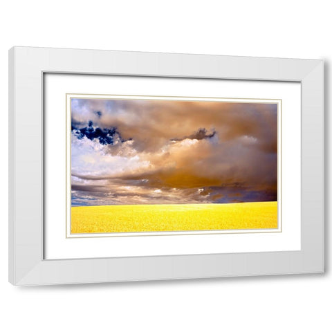 USA-Palouse abstract White Modern Wood Framed Art Print with Double Matting by Theodore, George and Marilu