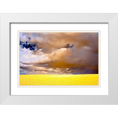 USA-Palouse abstract White Modern Wood Framed Art Print with Double Matting by Theodore, George and Marilu