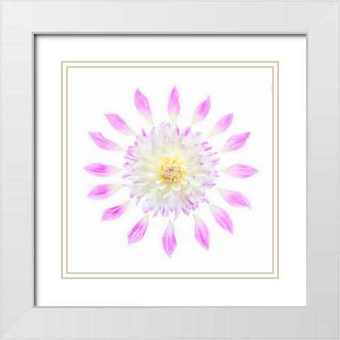 Usa-Washington State-Sammamish Flower Design White Modern Wood Framed Art Print with Double Matting by Looney, Hollice