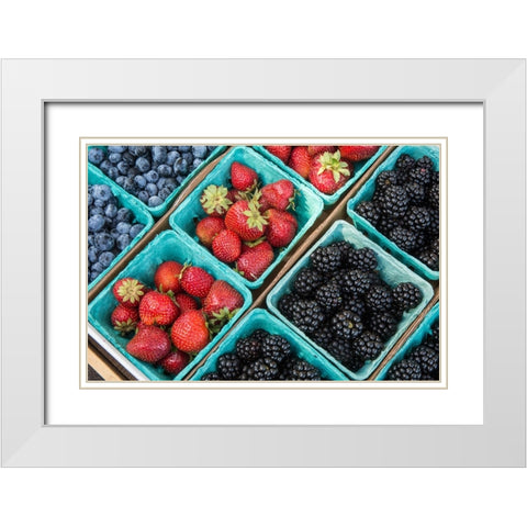 Issaquah-Washington State-USA Pints of freshly harvested strawberries White Modern Wood Framed Art Print with Double Matting by Horton, Janet